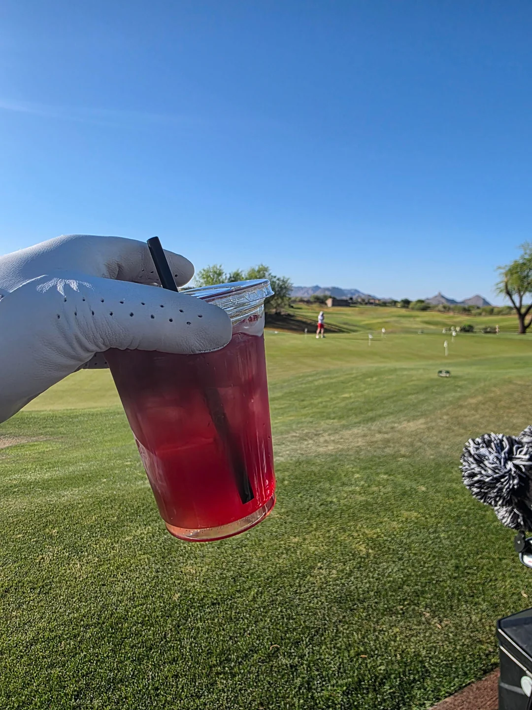 Why Is the Transfusion a Golf Drink? A Push Cart Mafia Field Note
